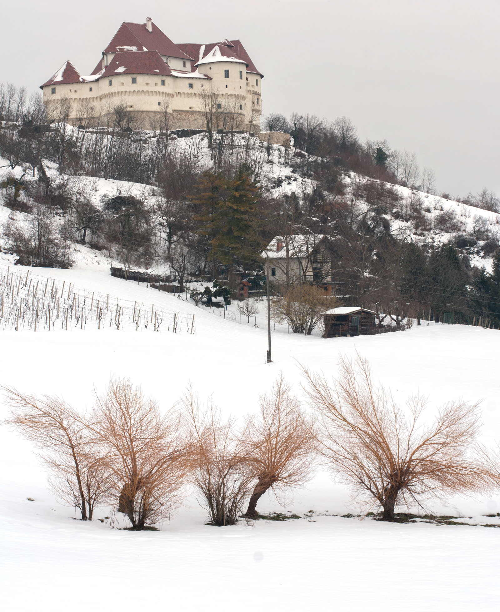 VELIKI TABOR5 PANORAMA 
